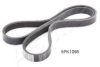 ASHIKA 112-5PK1095 V-Ribbed Belts